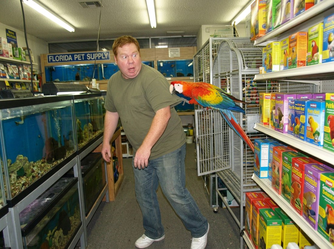 AI-reconstructed scene from this post, featuring Ed, 2007