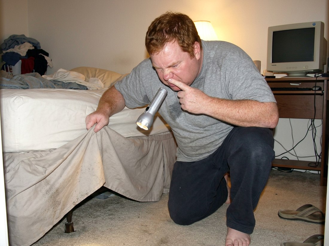 AI-reconstructed scene from this post, featuring Ed, 2006