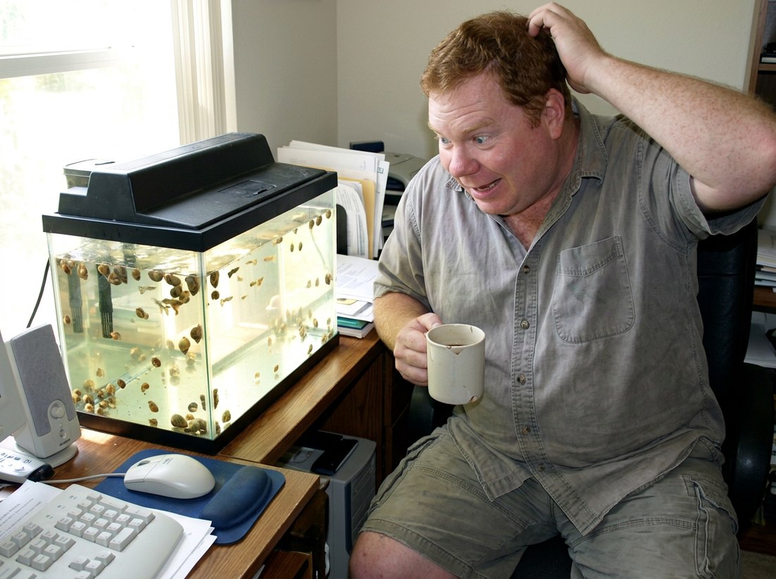 AI-reconstructed scene from this post, featuring Ed, 2006