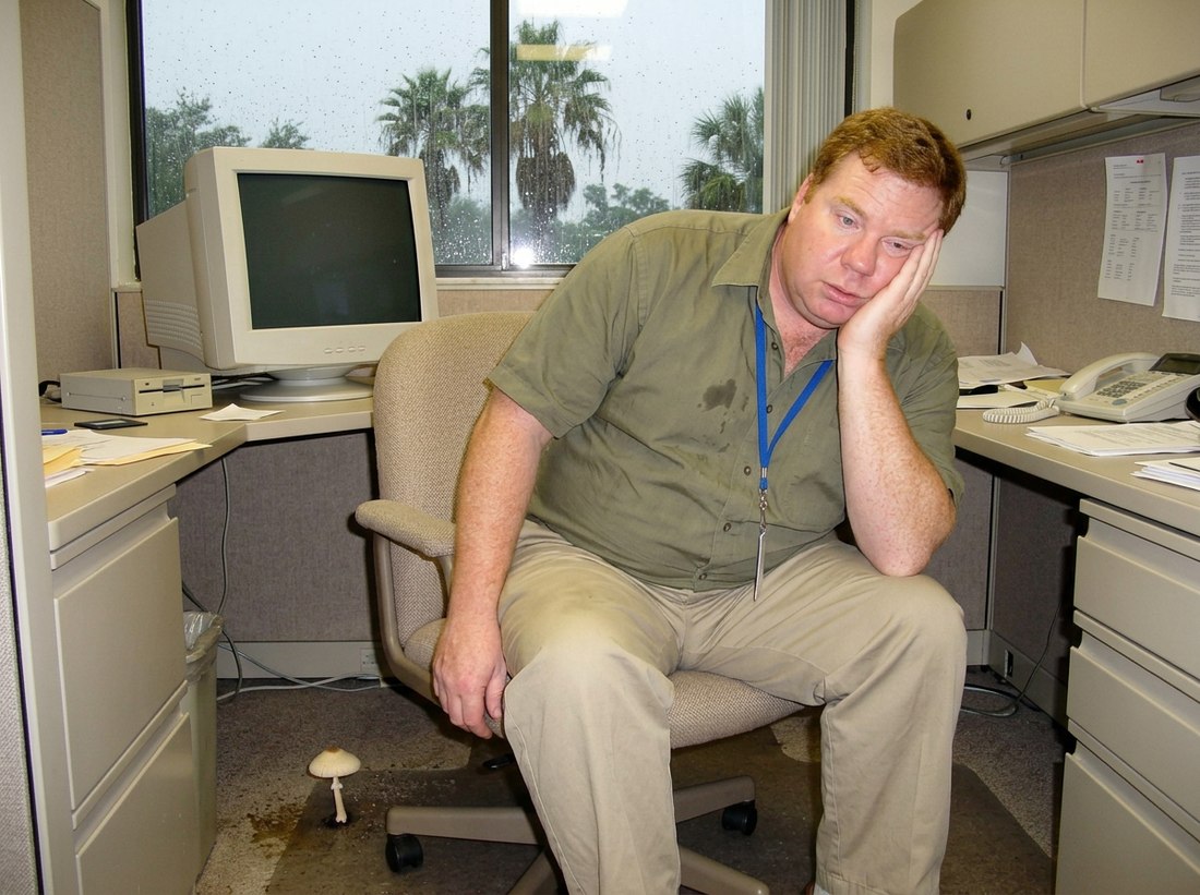 AI-reconstructed scene from this post, featuring Ed, 2006